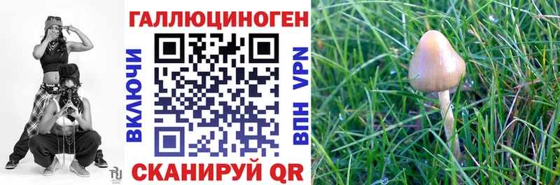 Галлюциногенные грибы мухоморы  Ардатов 
