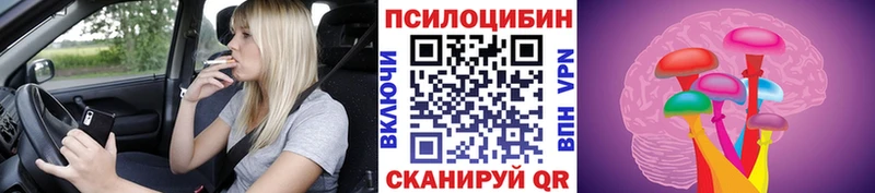 Псилоцибиновые грибы прущие грибы Ардатов